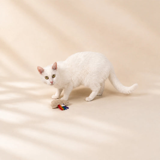 Katzenspielzeug mit Bio-Katzenminze – Katzenkissen „Regenbogen“