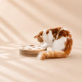 Load image into Gallery viewer, Modern scratching ball with feather
