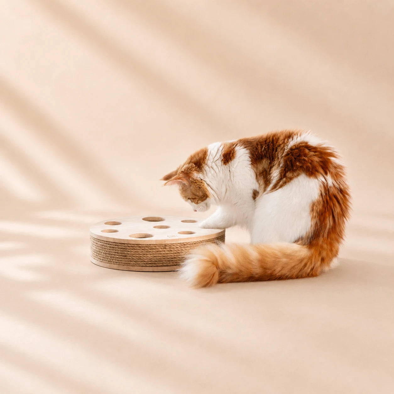 Modern scratching ball with feather