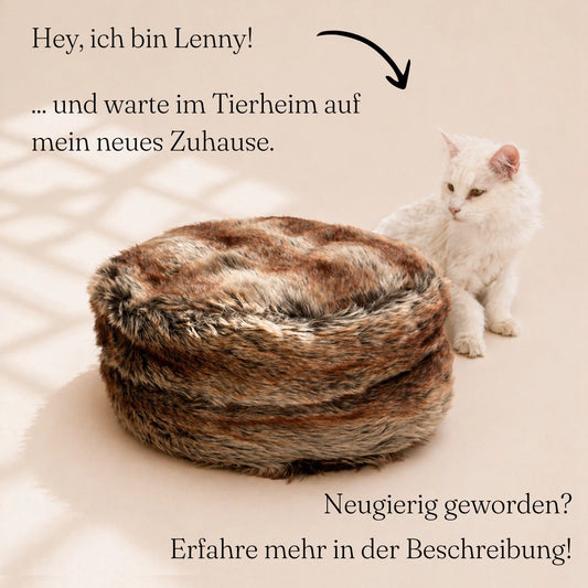 Katzenbett-pouf-katze-Tierheim