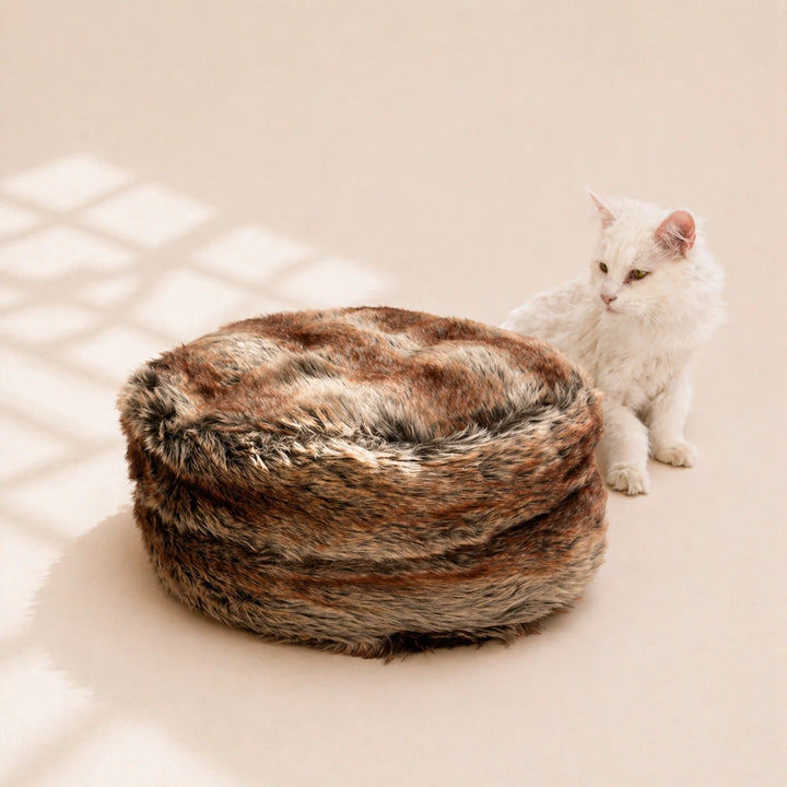 Katzenbett-pouf-katze-quadratisch