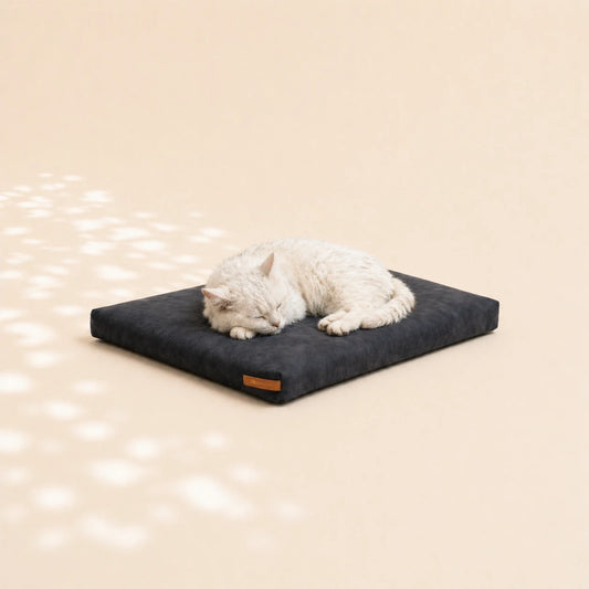 Katze liegt auf schwarzem Katzenbett - wasserabweisend und aus recycelten Materialien
