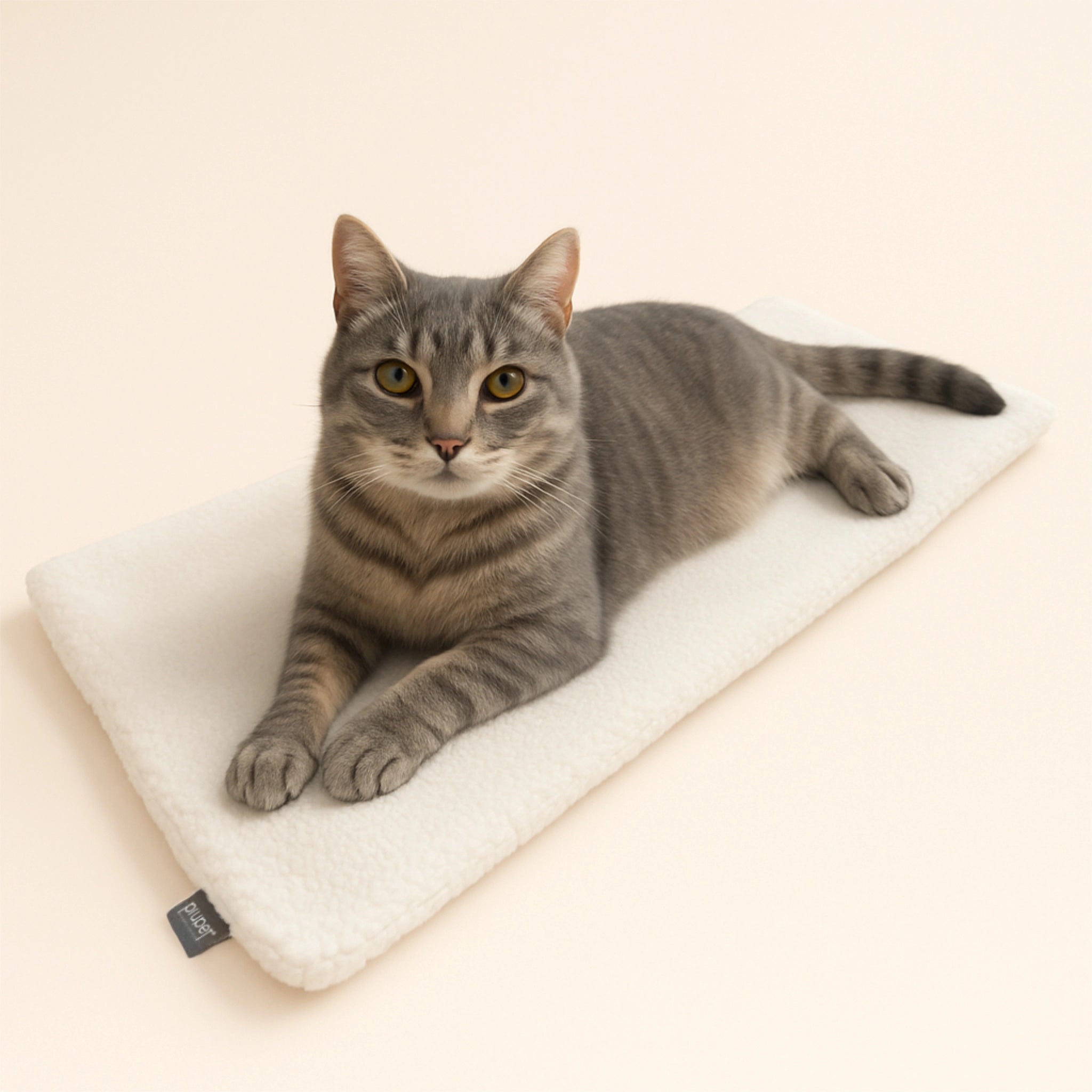 Fensterbrettauflage für Katzen