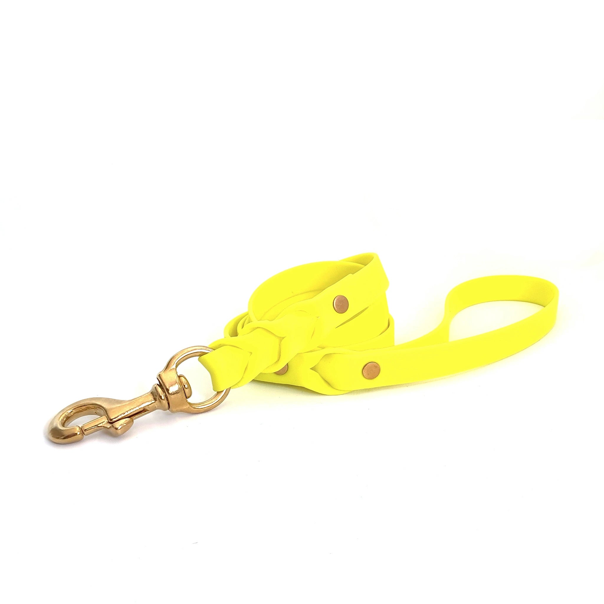 Biothane Hundeleine in Gelb mit Messingkarabiner