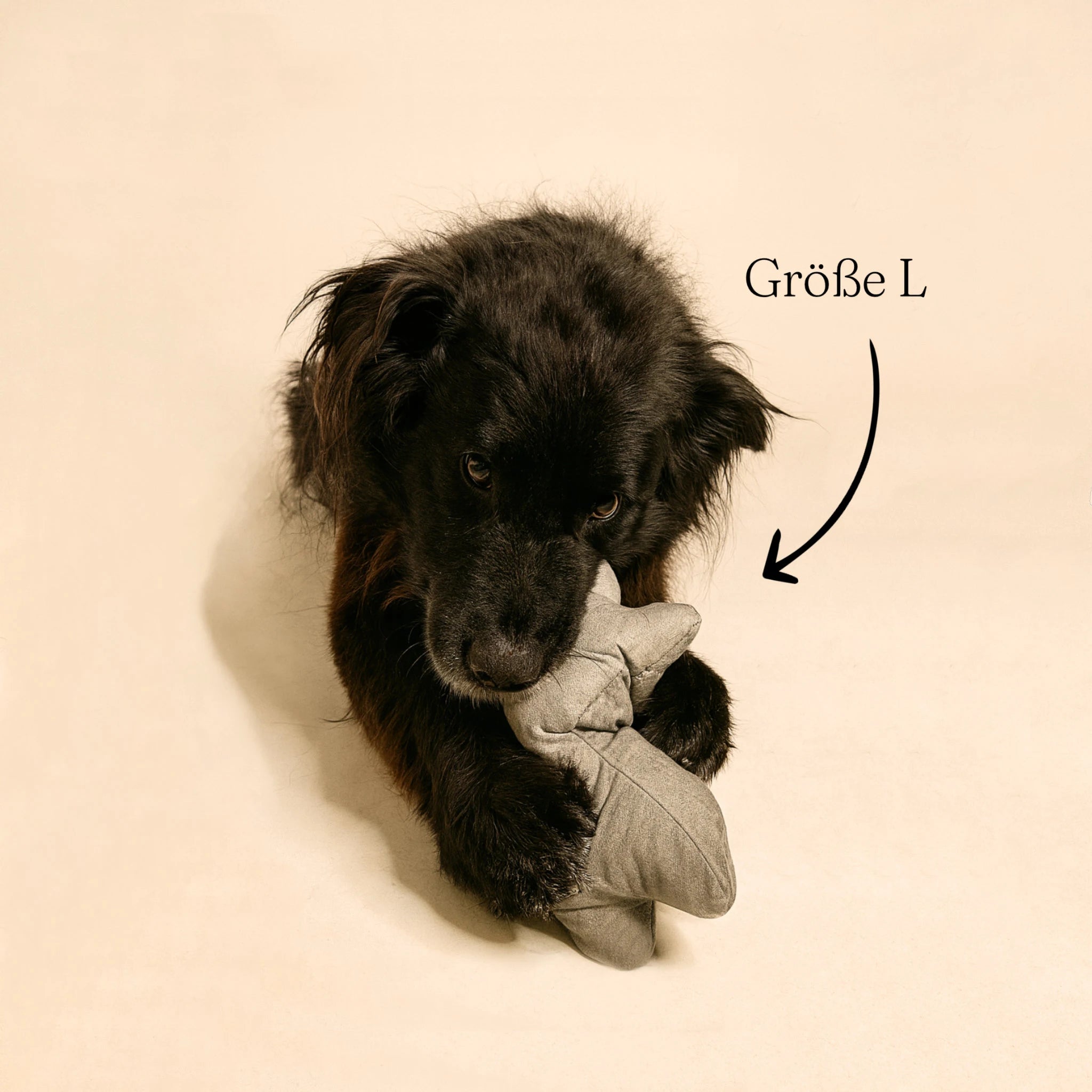 Nachhaltiges Hundespielzeug "Bone"