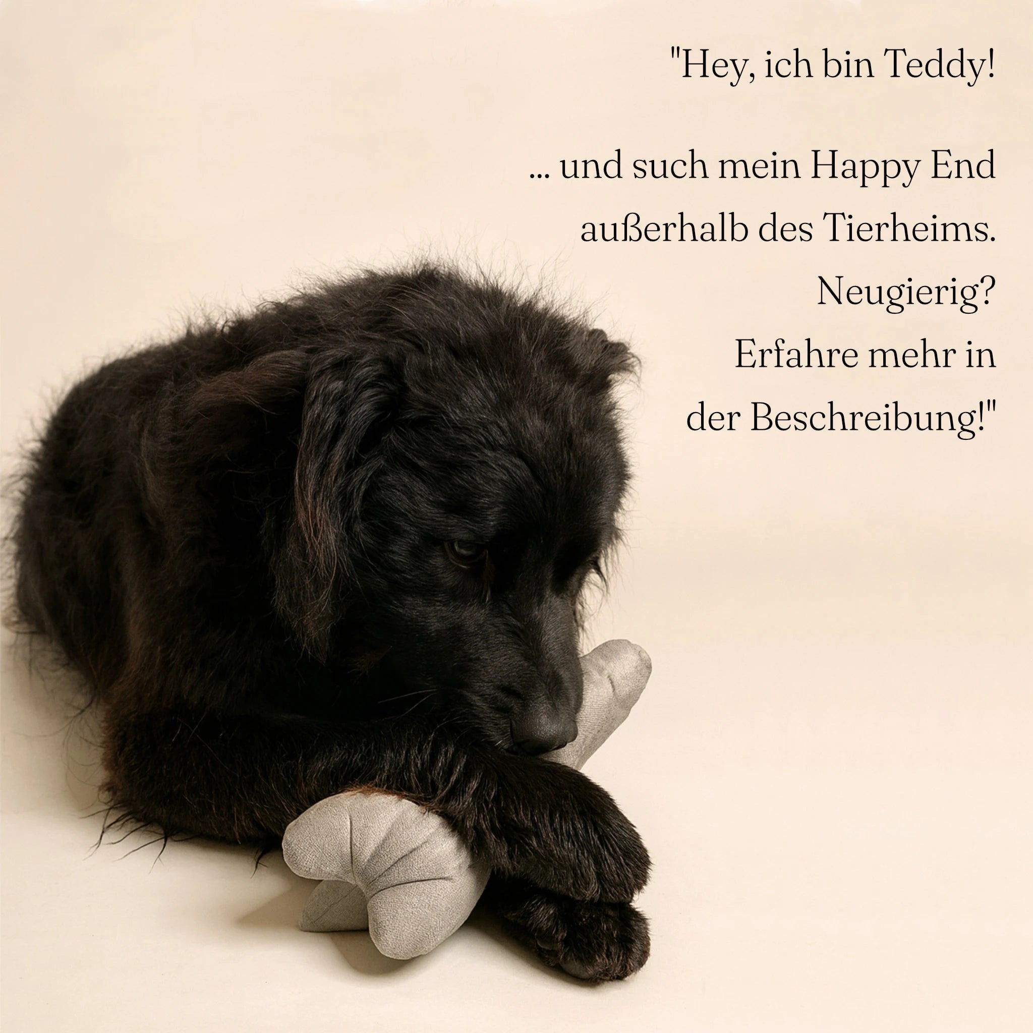 Nachhaltiges Hundespielzeug "Bone"