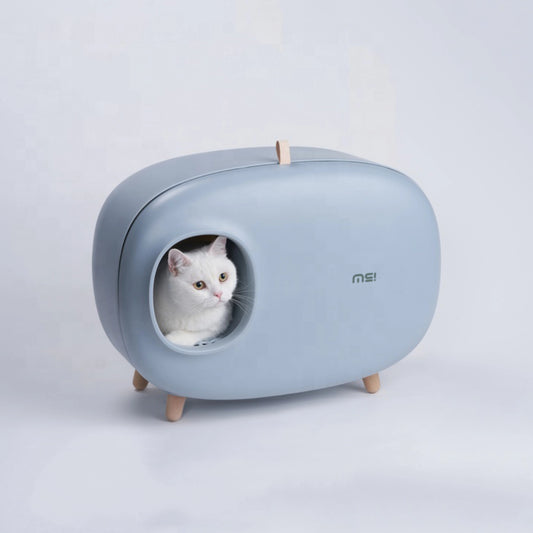 Offenes Designer-Katzenklo in Blau mit Katze im Inneren.