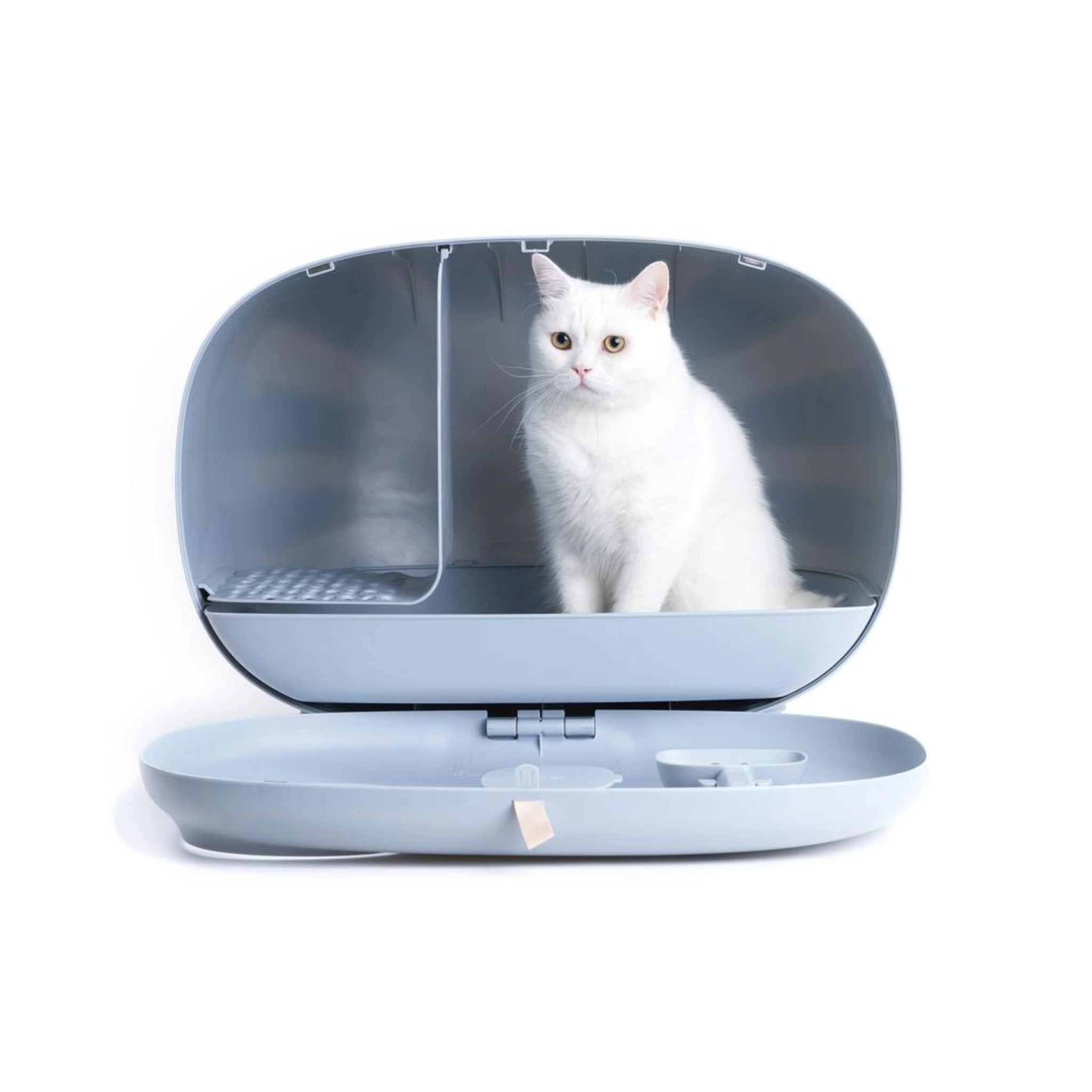 Offenes Designer-Katzenklo in Blau mit herausnehmbarem Innenfach und Katze im Inneren.