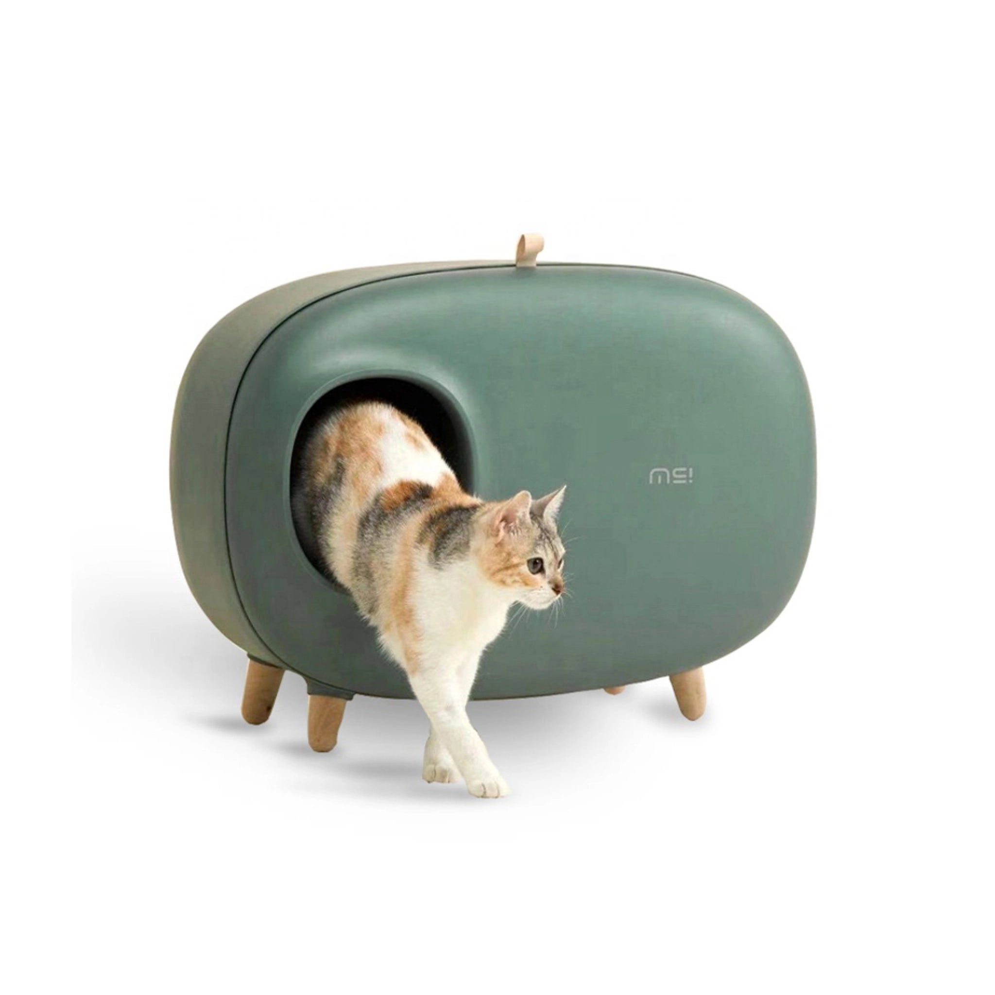 Designer-Katzenklo in Grün mit Katze – modernes Katzenklo mit Stauraum und Gitter-Einstieg.“