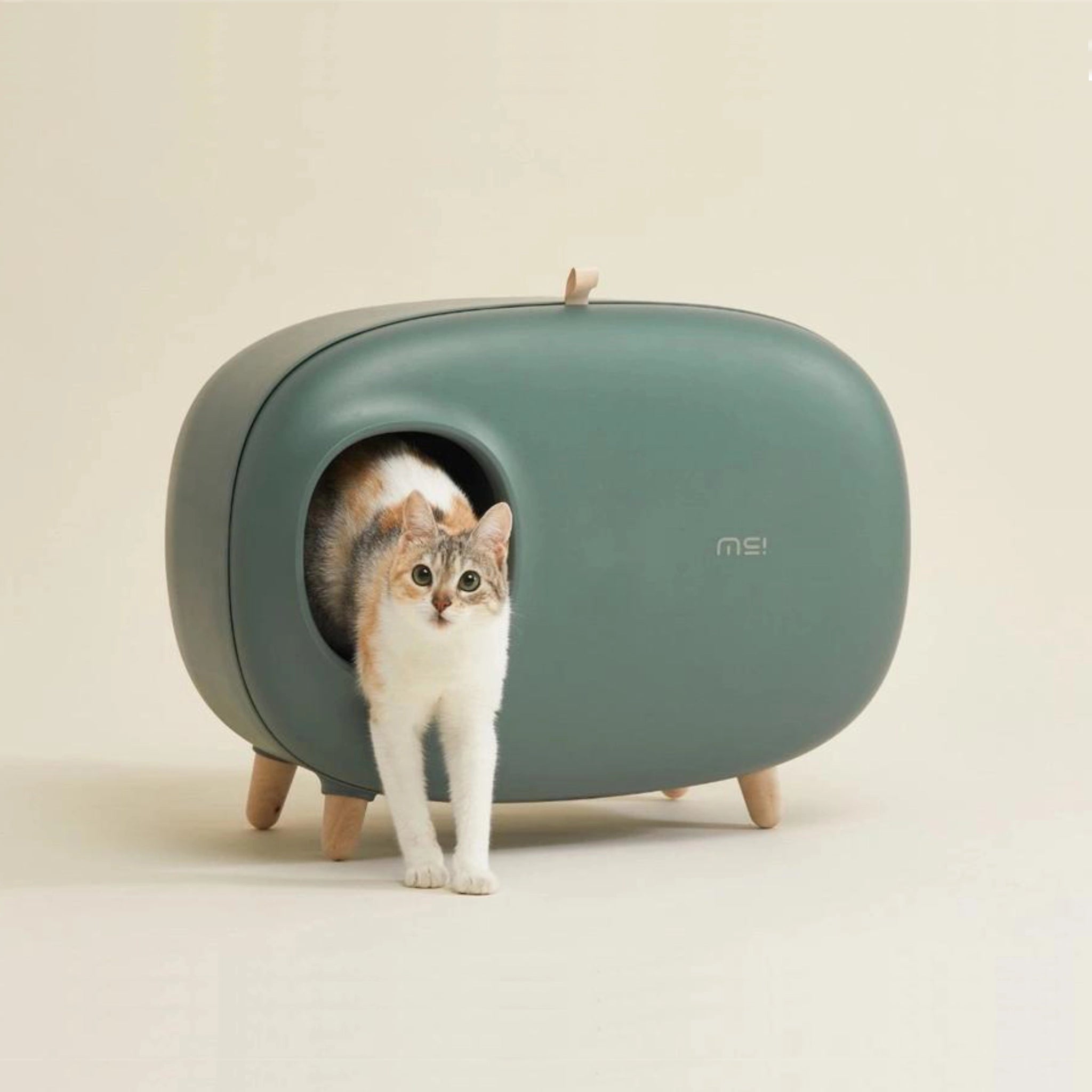 Katze steigt aus modernem Designer-Katzenklo in Grün – hygienischer Gitter-Einstieg verhindert Streuverlust.