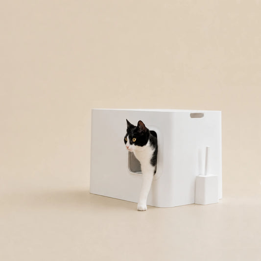 Katze schaut aus Nachhaltige Katzentoilette aus 100 % recyceltem ABS