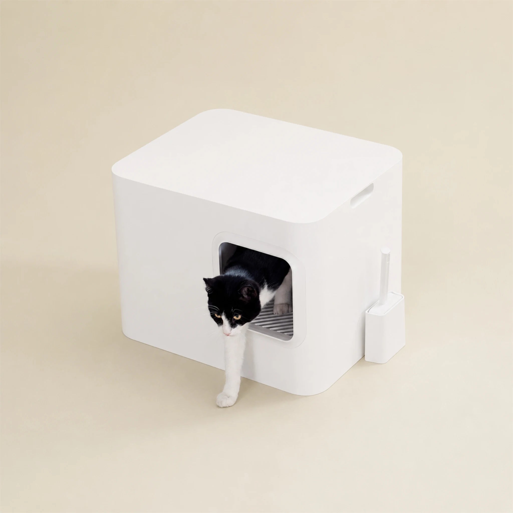 Katze läuft aus moderner Katzentoilette Dome aus recyceltem ABS