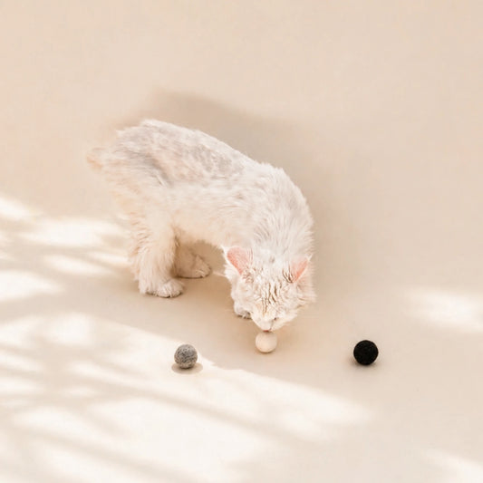 5 Wollbälle für Katzen