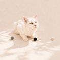 Load image into Gallery viewer, Katze spielt mit drei handgefilzten Wollbälle in Weiß, Hellgrau und Dunkelgrau – nachhaltiges, natürliches Katzenspielzeug aus Lettland.“
