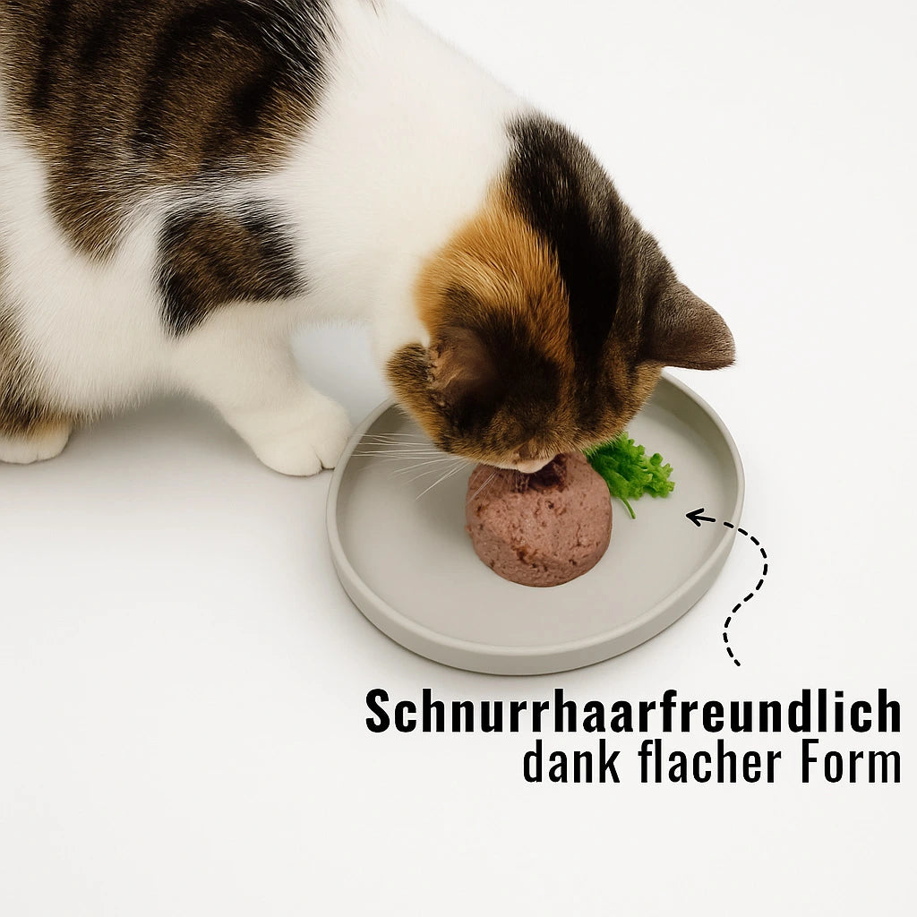 Silikonnapf im Einsatz – entspanntes Fressen ohne hohe Ränder.