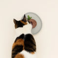 Bild in Galerie-Betrachter laden, Katze frisst aus flachem Futternapf – Whisker Stress verhindert
