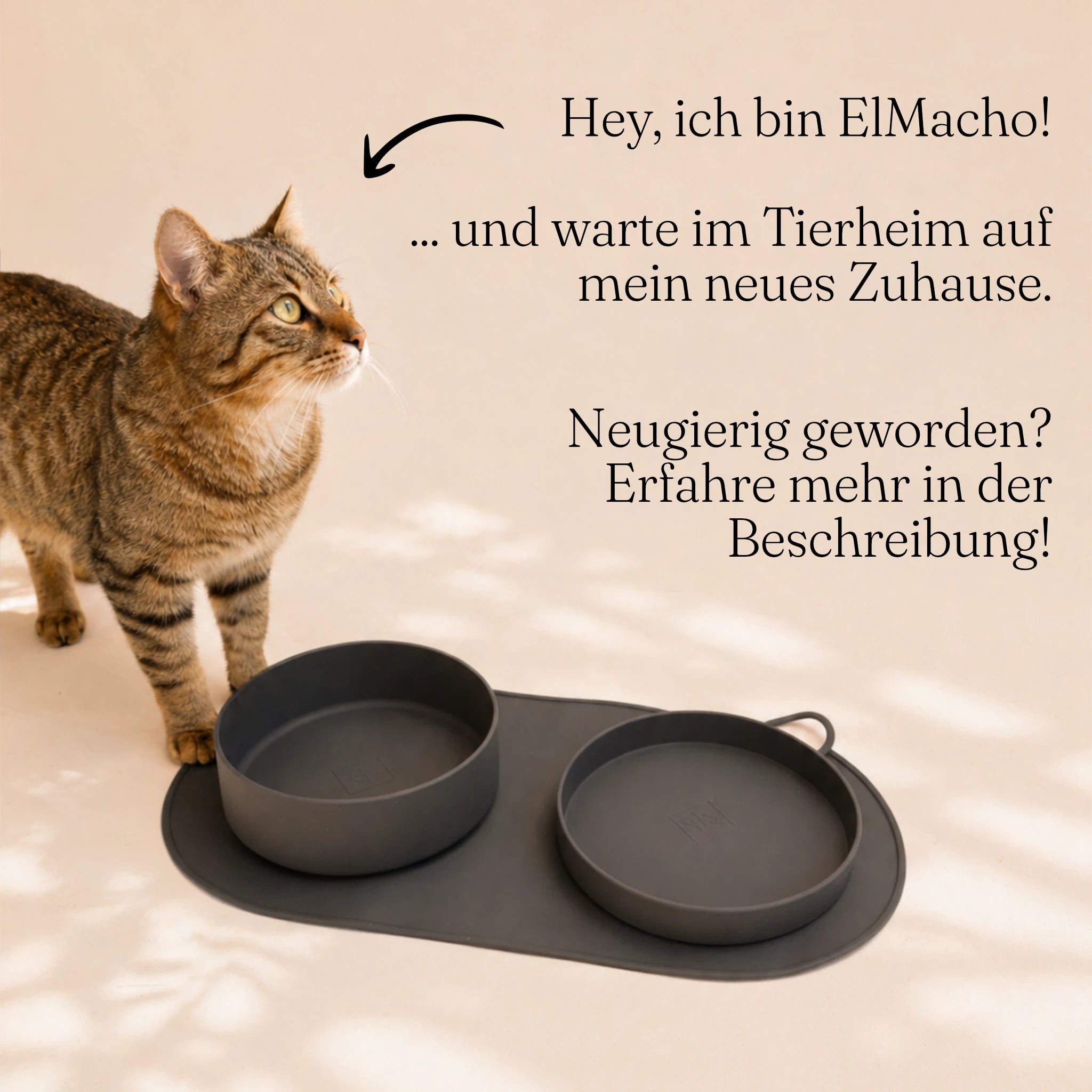 Pet bowl with silicone lid