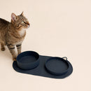 Tierheim-Katze steht neben Deckel als separate Futterschale neben dem Silikonnapf.