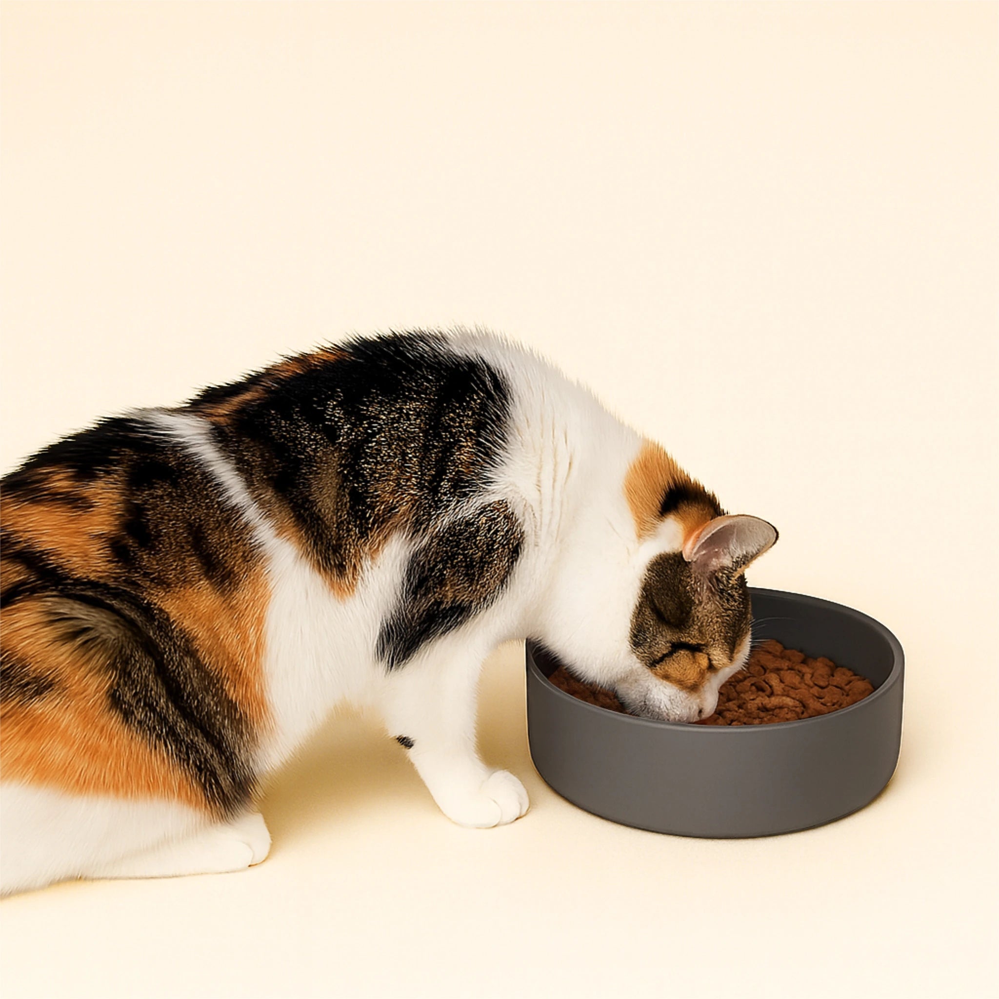 Silikonnapf im Einsatz – Futter frisch & sauber serviert.