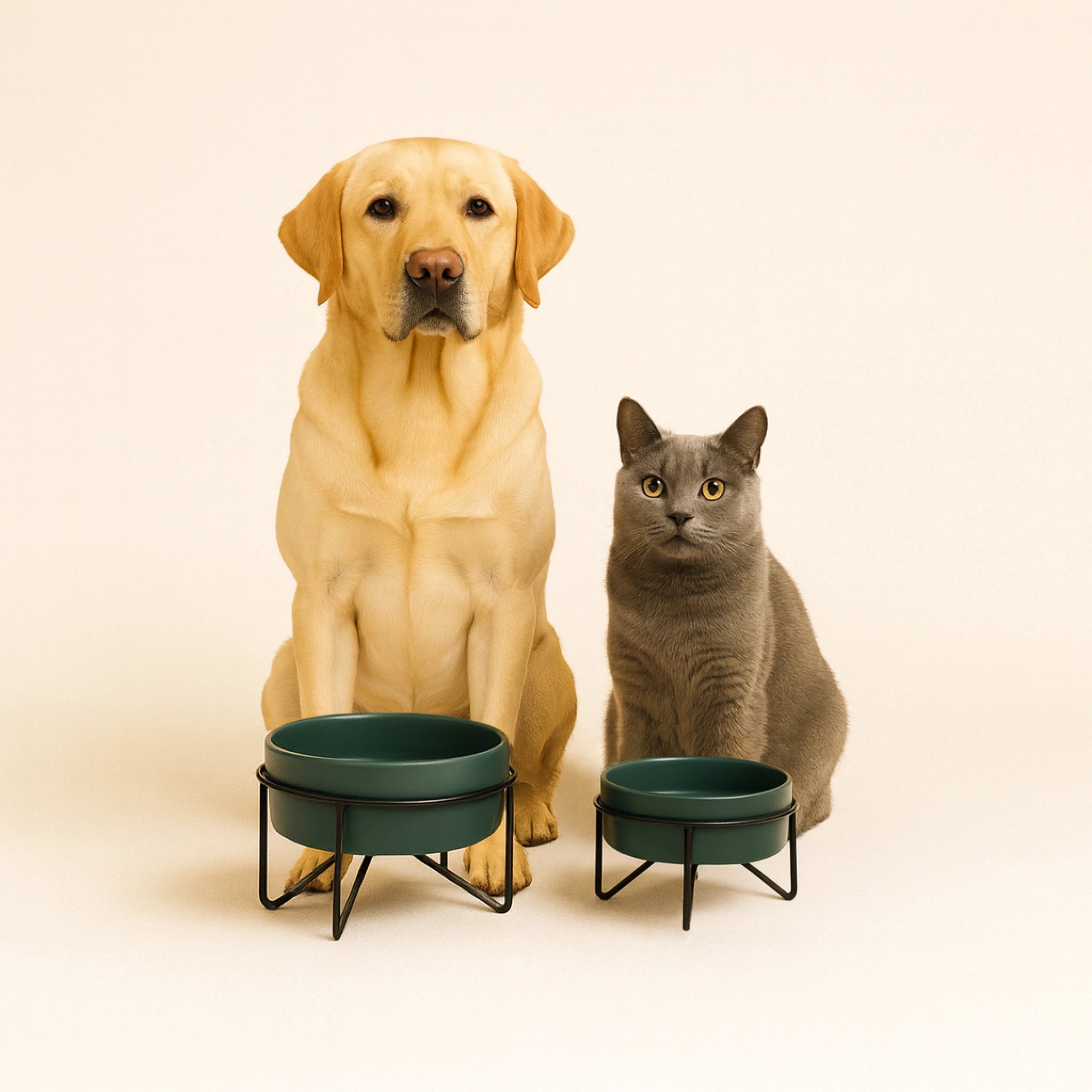 Zwei stilvolle Keramiknäpfe mit Hund und Katzen die im Hintergrund sitzen– modernes Design in Gün.