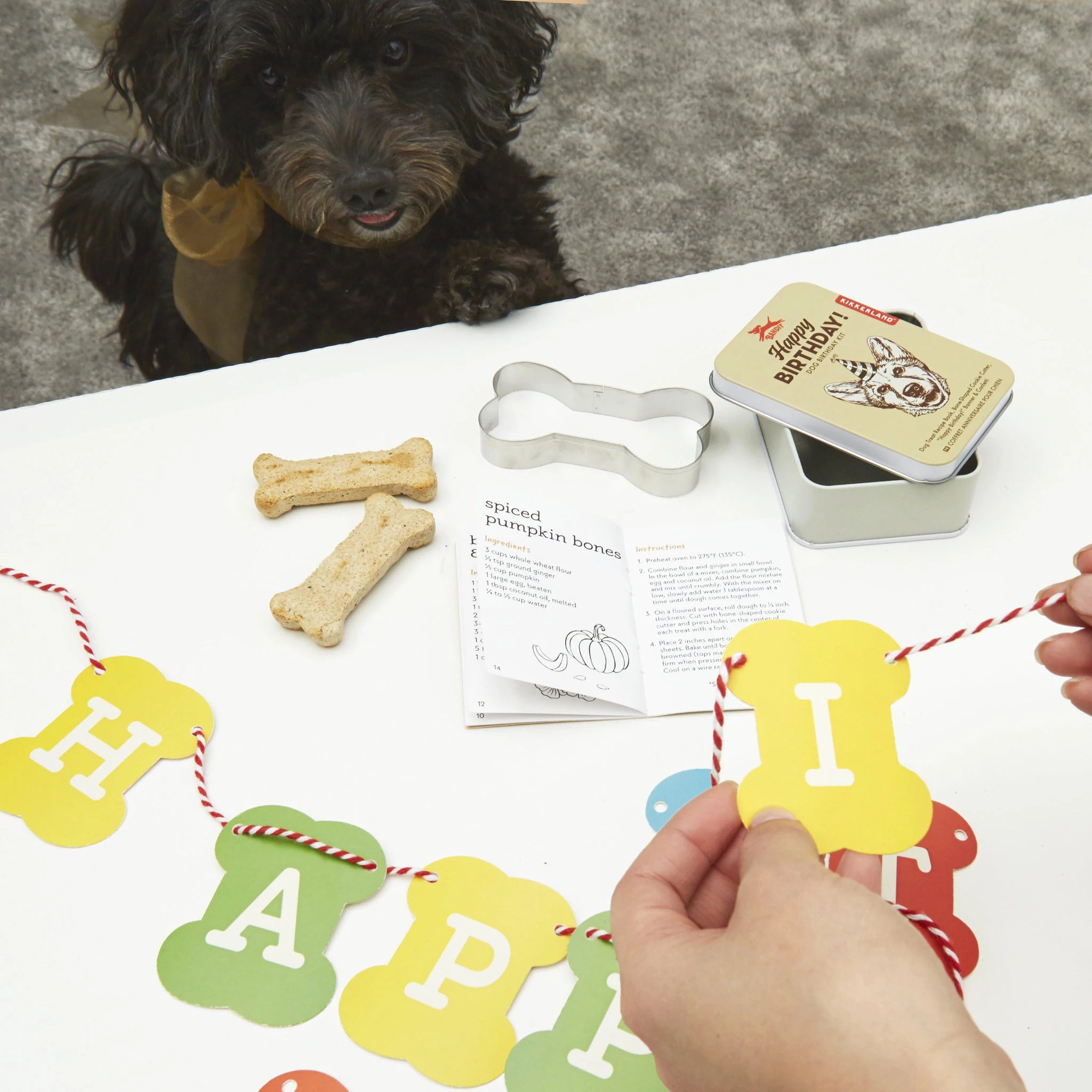 Geburtstagsset für Hunde