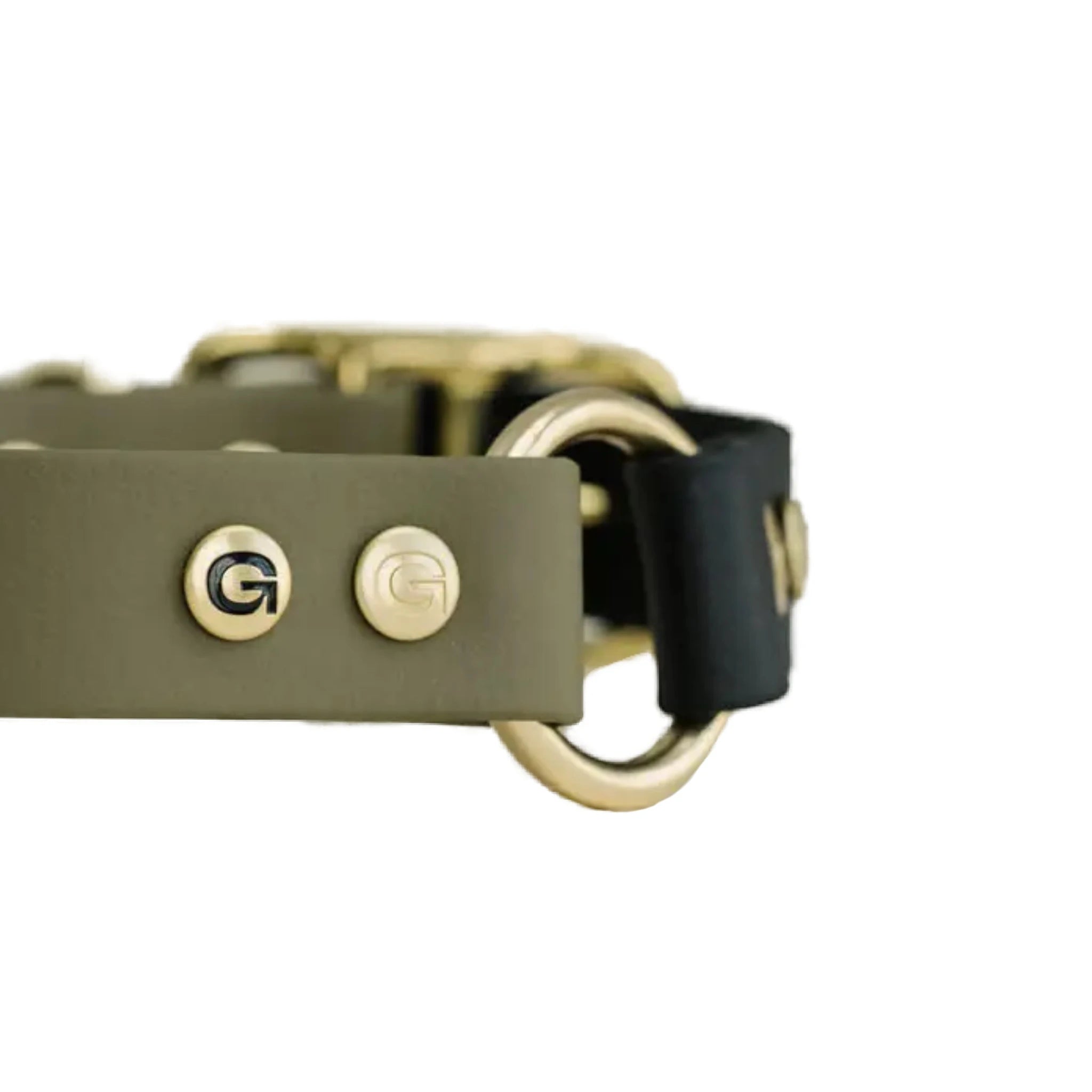 Detailaufnahme GULA Logo-Nieten am Biothane-Halsband