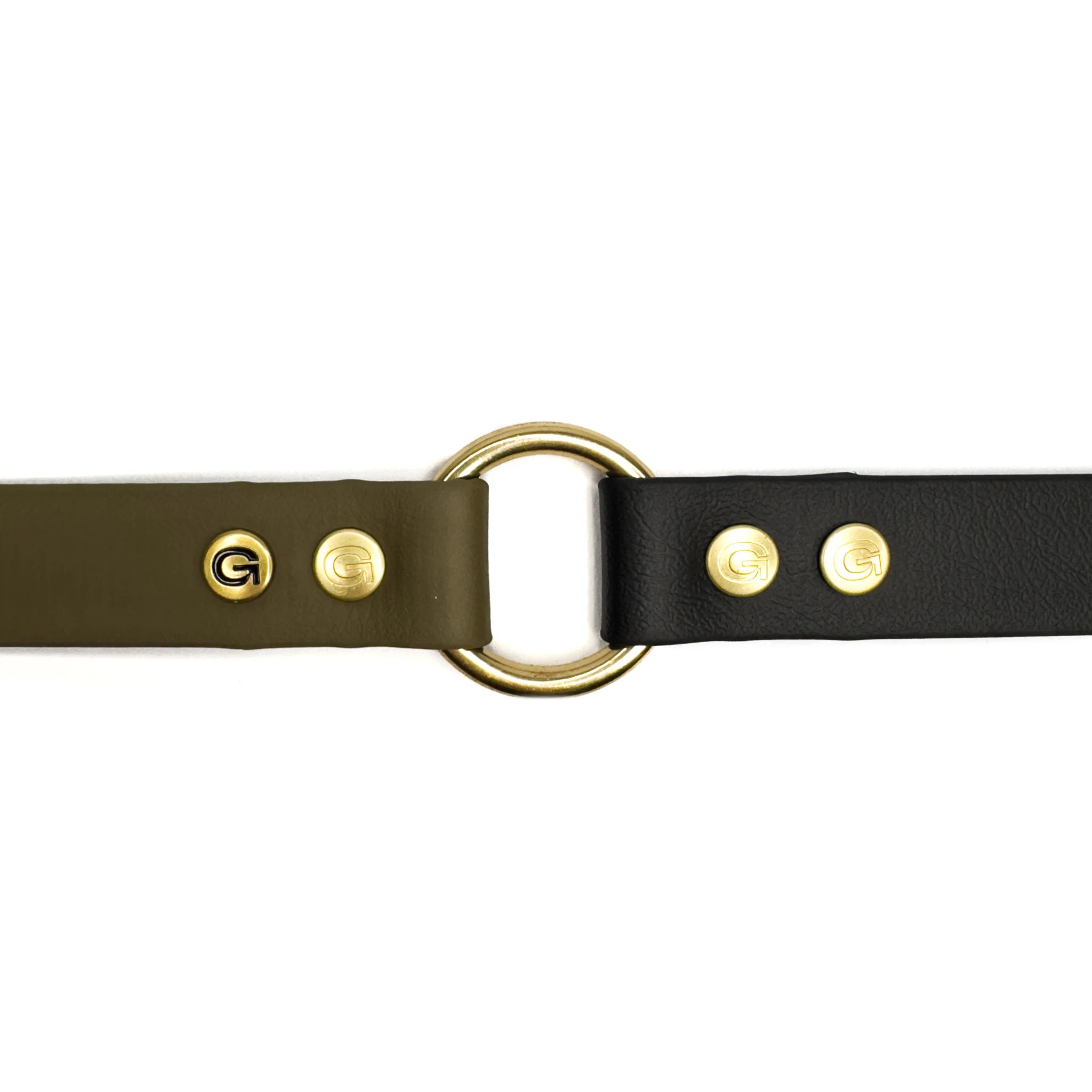 Messingschnalle und Ring des GULA Halsbands im Close-up