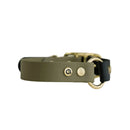 GULA Hundehalsband in Grün, Detailaufnahme der Messingnieten