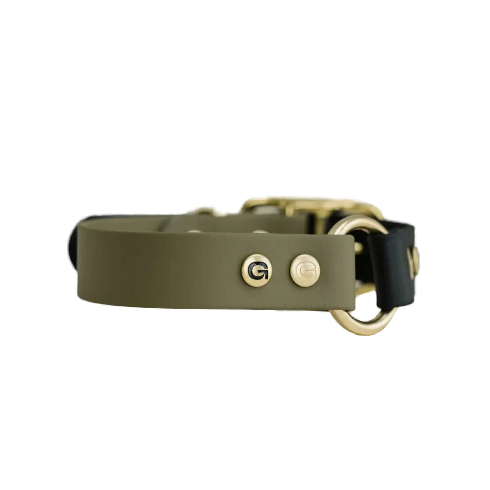 GULA Hundehalsband in Grün, Detailaufnahme der Messingnieten