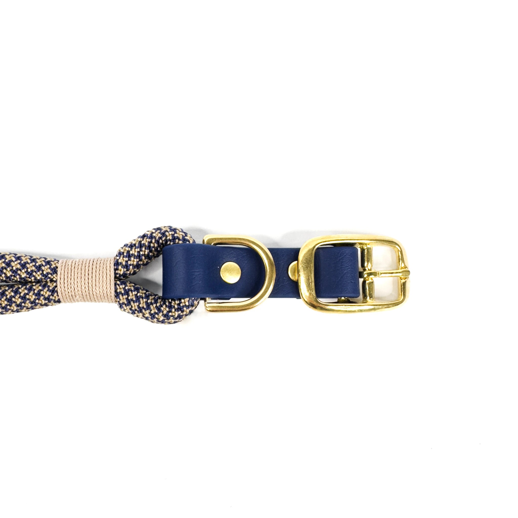 Detail goldene Messingbeschläge – hochwertiges Hundehalsband.