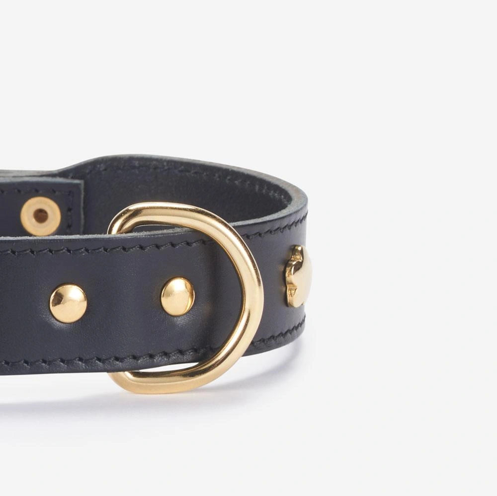 Detail goldener Nieten – hochwertiges Lederhalsband in schwarz.