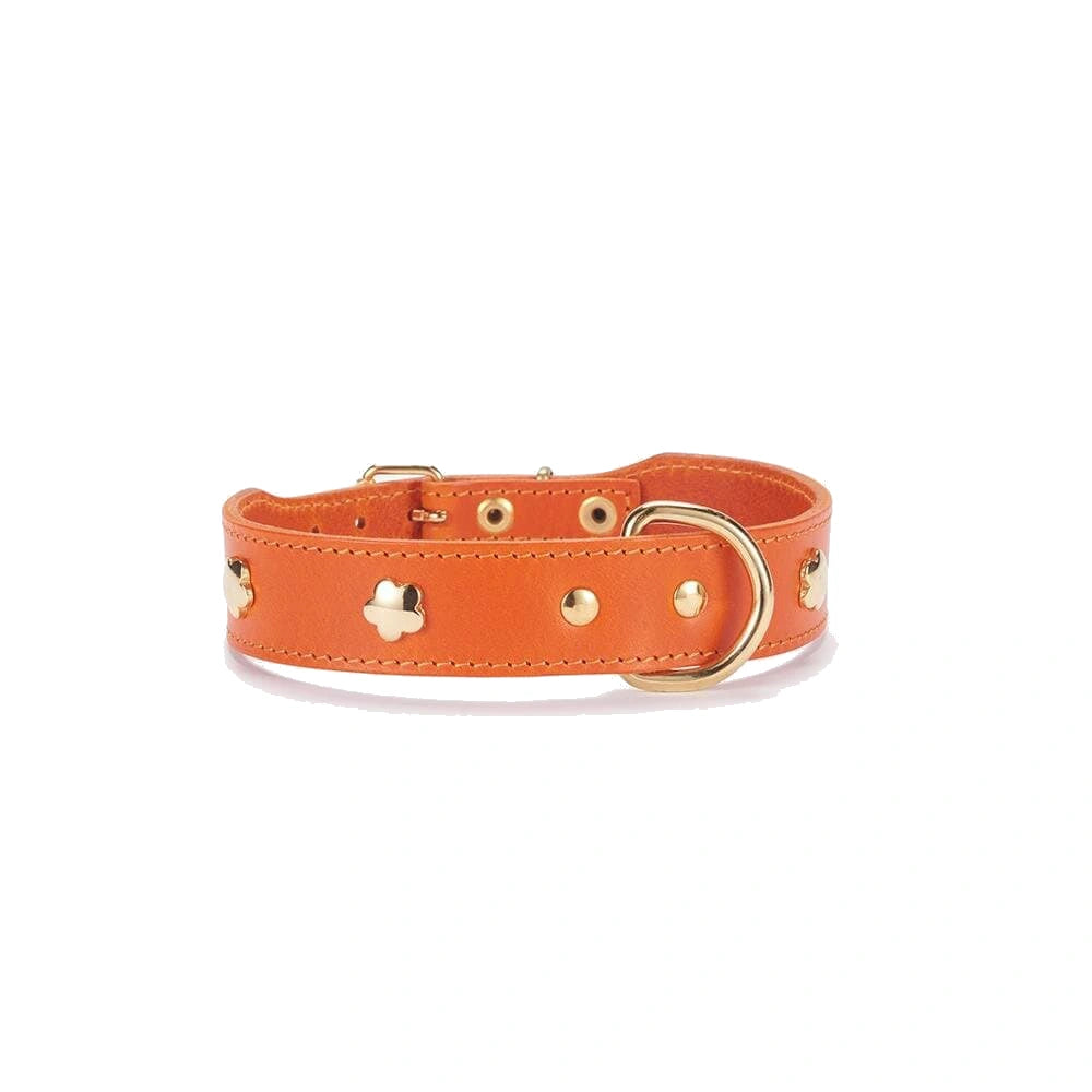 Lederhalsband aus italienischem Leder in orange – elegant mit goldenen Details.