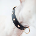 Bild in Galerie-Betrachter laden, Hund trägt Lederhalsband – eleganter Look in schwarz - Detailaufnahme.
