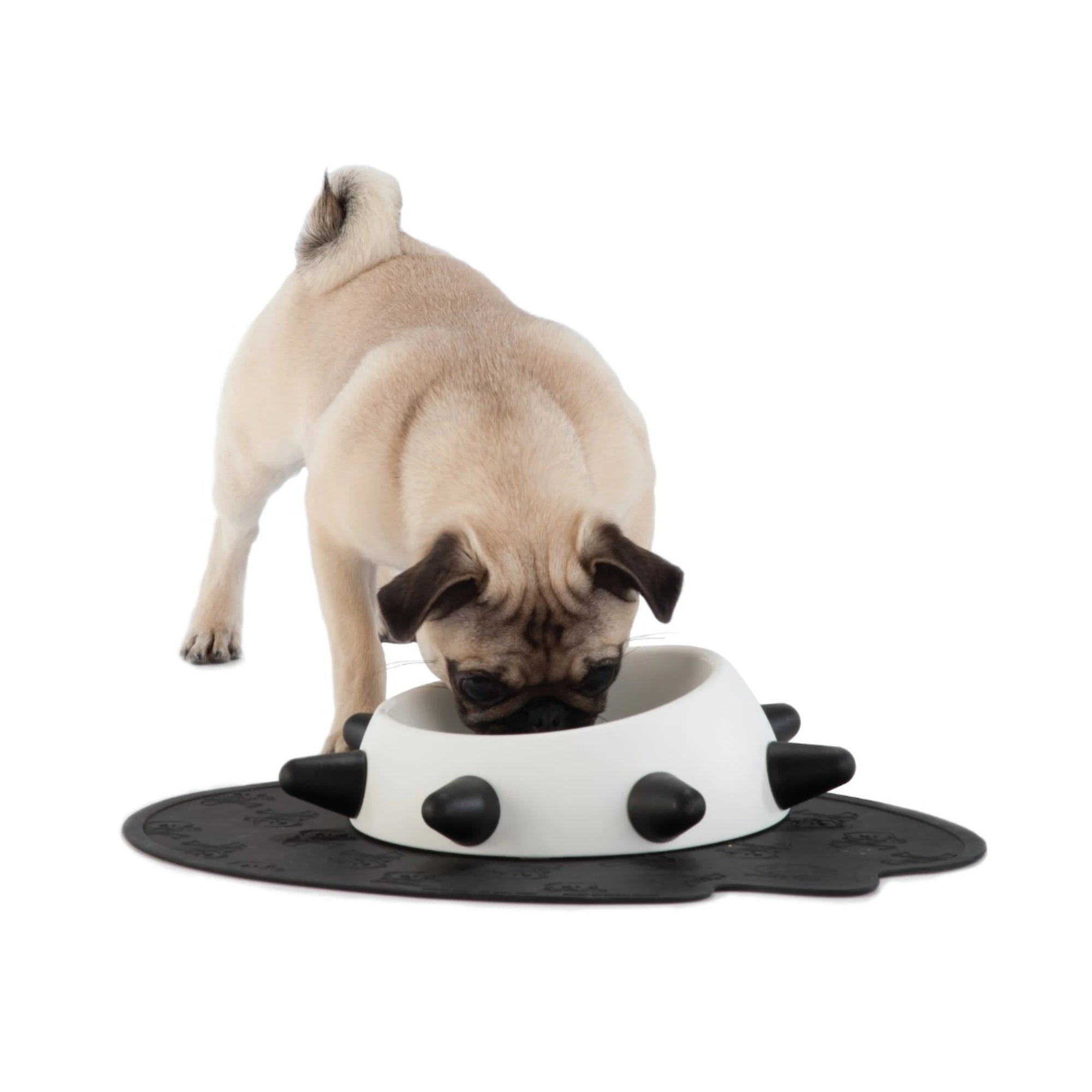 Hund frisst aus Napf mit Nieten auf Unterlage