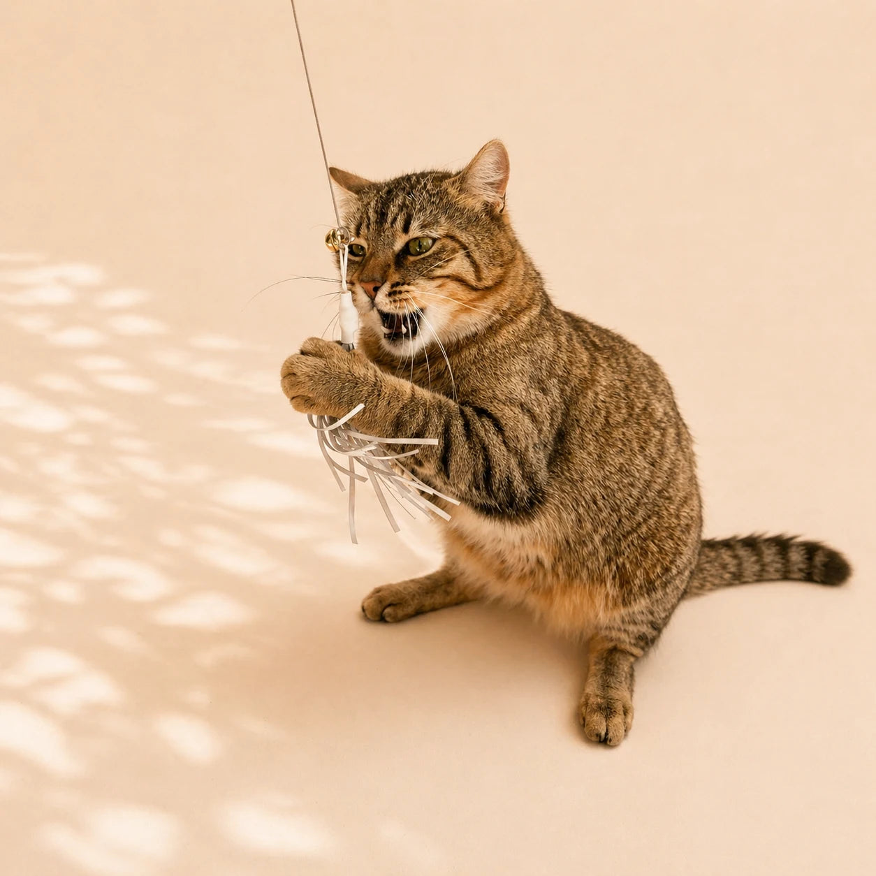 Katze spielt mit Katzenangel mit Holzgriff, flexiblem Metalldraht und feinen Bändern – handgefertigtes Katzenspielzeug aus natürlichen Materialien, nachhaltig produziert.