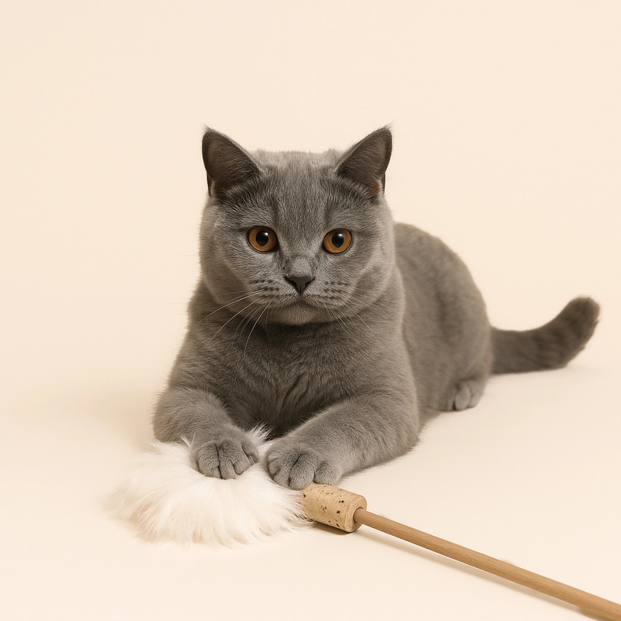 Katze spielt mit Federwedel für Katzen mit weißem Naturfeder-Anhänger, Korkgriff und Holzstab – handgefertigt in Deutschland, nachhaltig & plastikfrei.