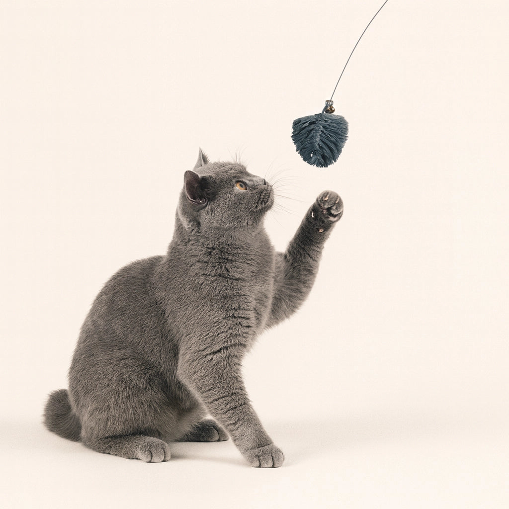 Graue Katze spielt mit Katzenangel mit Holzgriff, flexiblem Metalldraht und Makramee-Anhänger aus Baumwolle mit Glöckchen – handgefertigt in Deutschland, nachhaltig & plastikfrei.