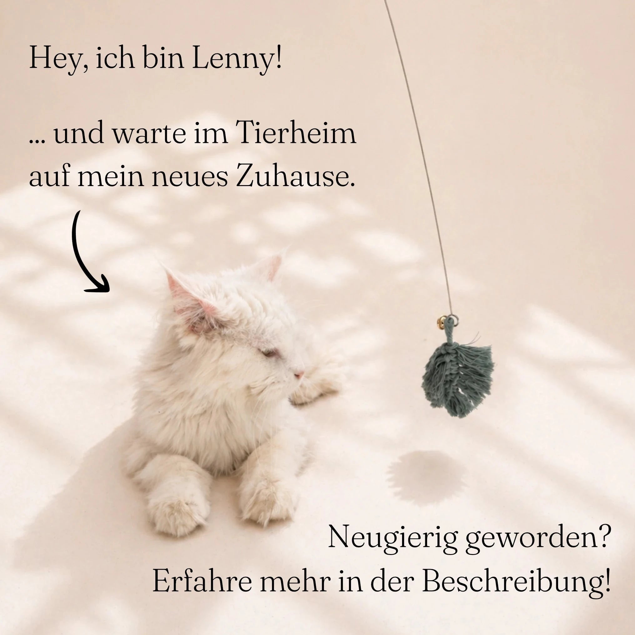 Tierheim  Katze spielt mit Katzenangel mit Holzgriff, flexiblem Metalldraht und Makramee-Anhänger aus Baumwolle mit Glöckchen – handgefertigt in Deutschland, nachhaltig & plastikfrei.