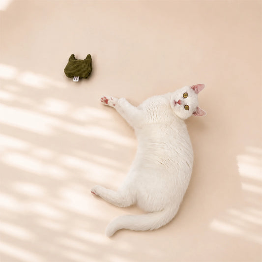 Katzenspielzeug Kissen mit Katzenminze & Matatabi – Cord & Sherpa