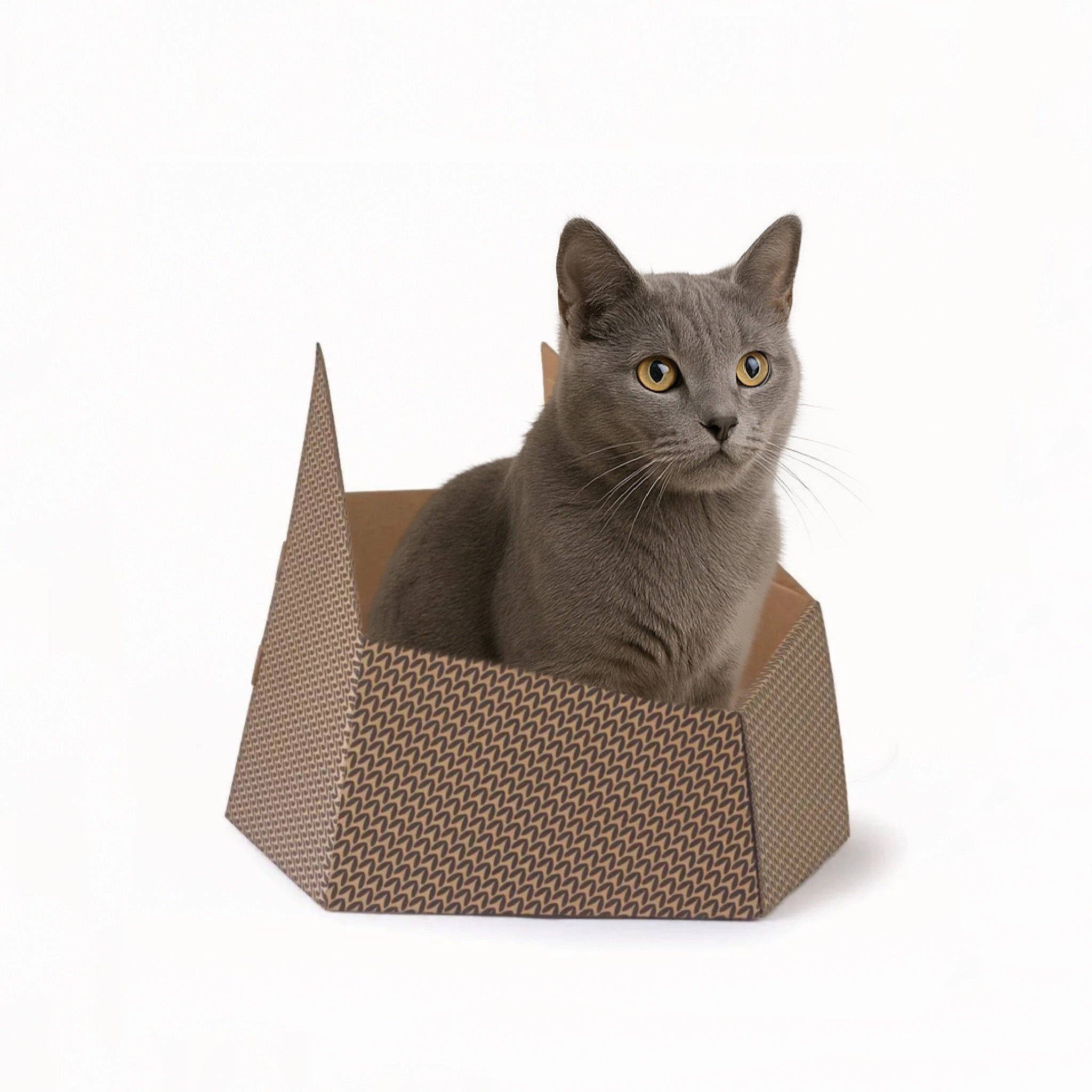 Katze sitzt im Kartonkorb – stilvoller Rückzugsort aus recycelbarem Karton.