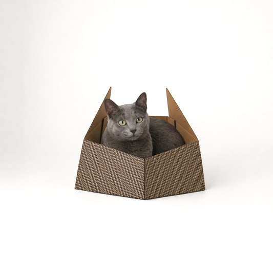 Katze sitzt im Kartonkorb – stilvoller Rückzugsort aus recycelbarem Karton.