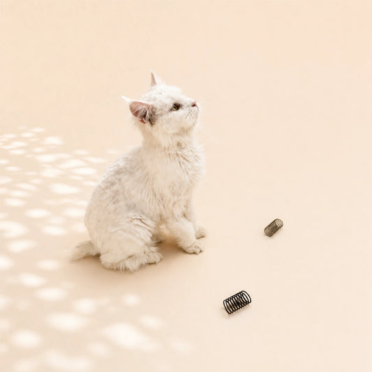 Katze spielt mit Drei Katzenspiralen in Grau und Schwarz – langlebiges, geräuscharmes Katzenspielzeug aus Frankreich im minimalistischen Design.