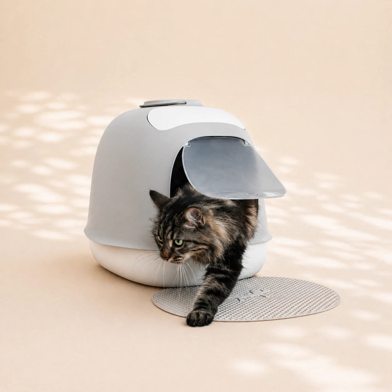 Katze inspiziert die Design-Katzentoilette ‚Minù‘ in Grau/Weiß – elegante und pflegeleichte Katzentoilette.
