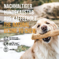 Bild in Galerie-Betrachter laden, Nachhaltiger Hundekaustab aus upgecyceltem Kaffeeholz
