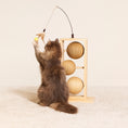 Bild in Galerie-Betrachter laden, Katze spielt mit Designed by Lotte Kratzbaum Lomax aus hellem Rubberwood mit drei Kratzkugeln aus Jute, Sisal und Seegras sowie integrierter Katzenangel mit Federn – stilvolles, funktionales Kratzmöbel für Katzen.
