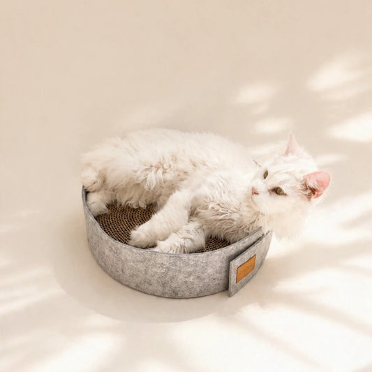 Katze liegt auf Kratzbrett mir Filz und Metabi
