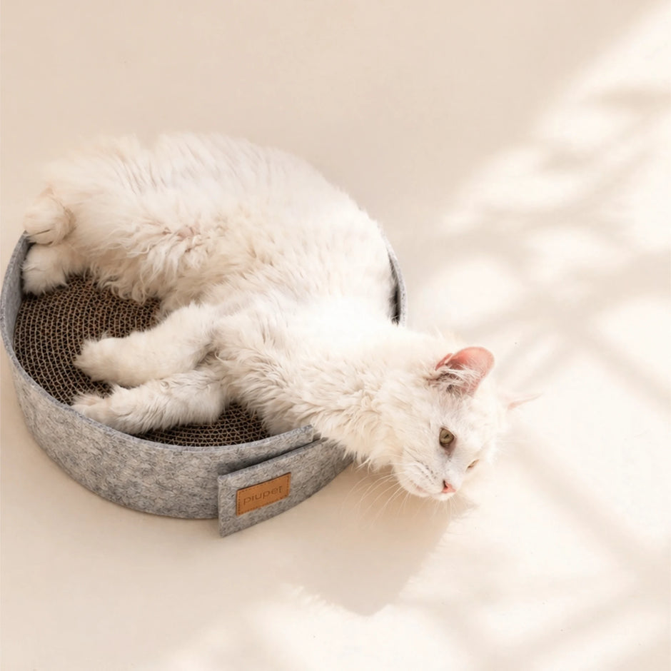 Katze liegt auf Kratzbrett mir Filz und Metabi
