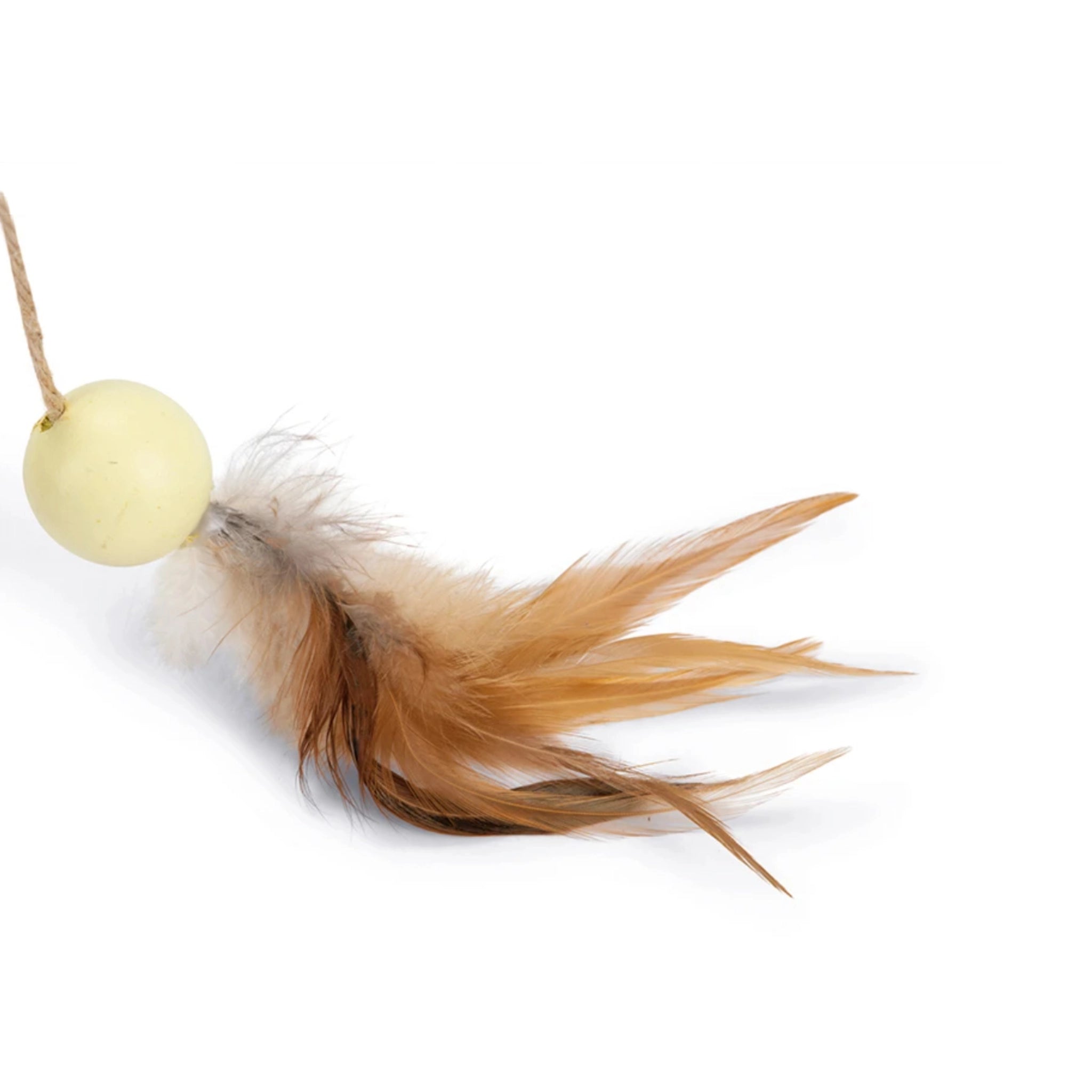 Feder eines Designed by Lotte Kratzball Wiggly aus Gummiholz mit Juteseil und Spielangel mit Federn – hochwertiges, natürliches Kratzspielzeug für Katzen.