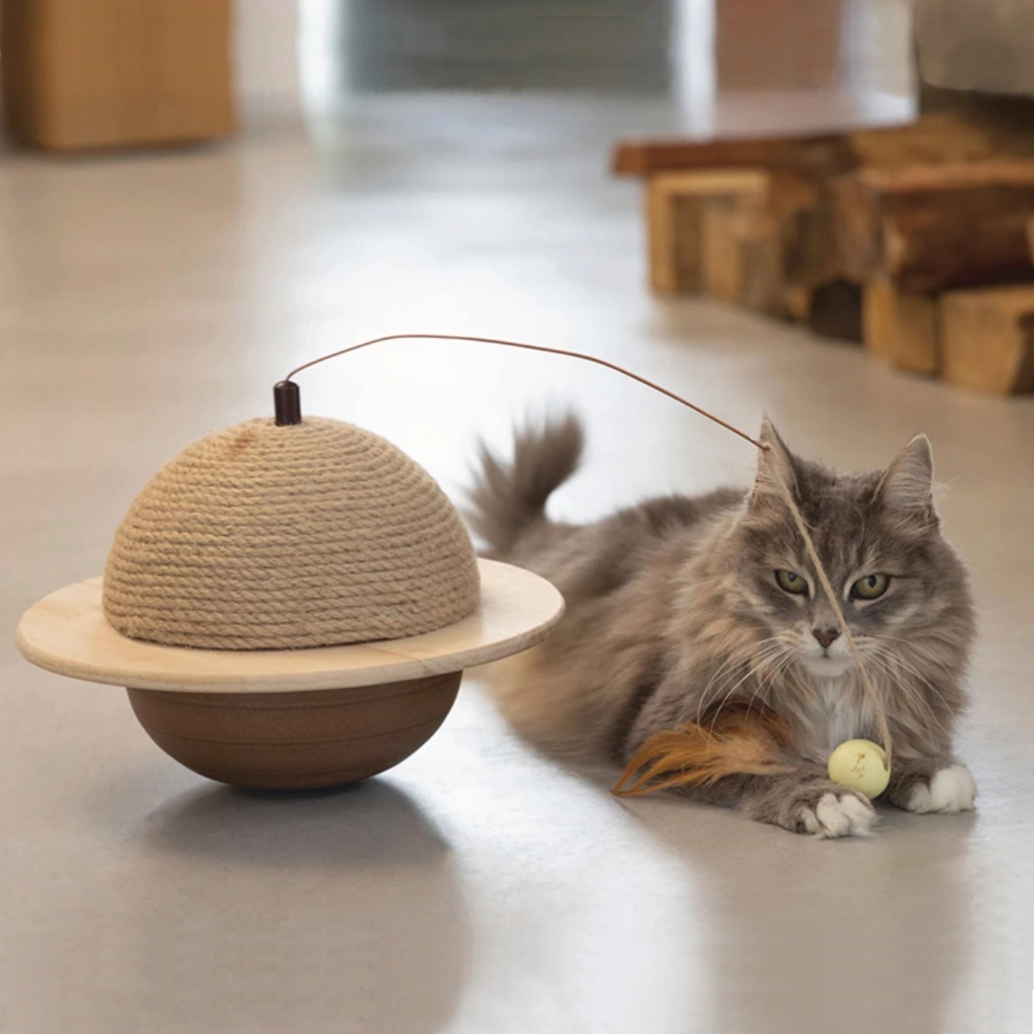 Katze spielt mit Designed by Lotte Kratzball Wiggly aus Gummiholz mit Juteseil und Spielangel mit Federn – hochwertiges, natürliches Kratzspielzeug für Katzen.