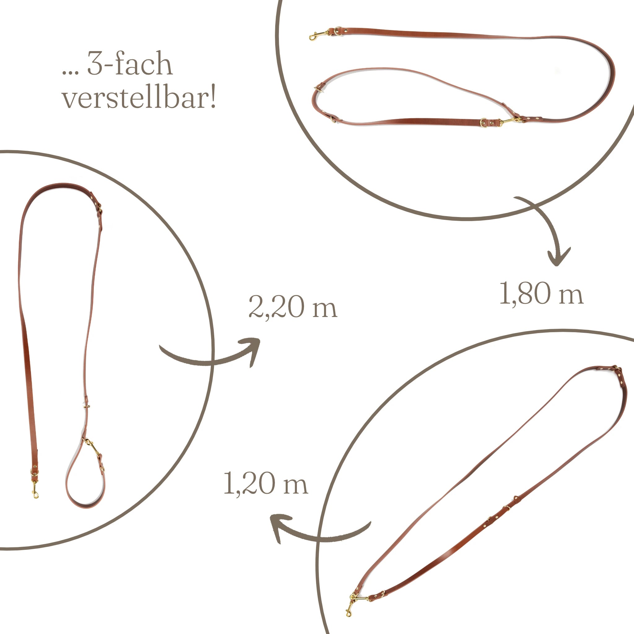  Lederleine – verstellbar auf 1,2 m, 1,8 m, 2,2 m.